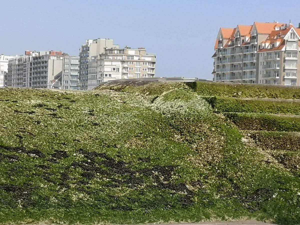 Westeinders Sea View ミデルケルケ エクステリア 写真