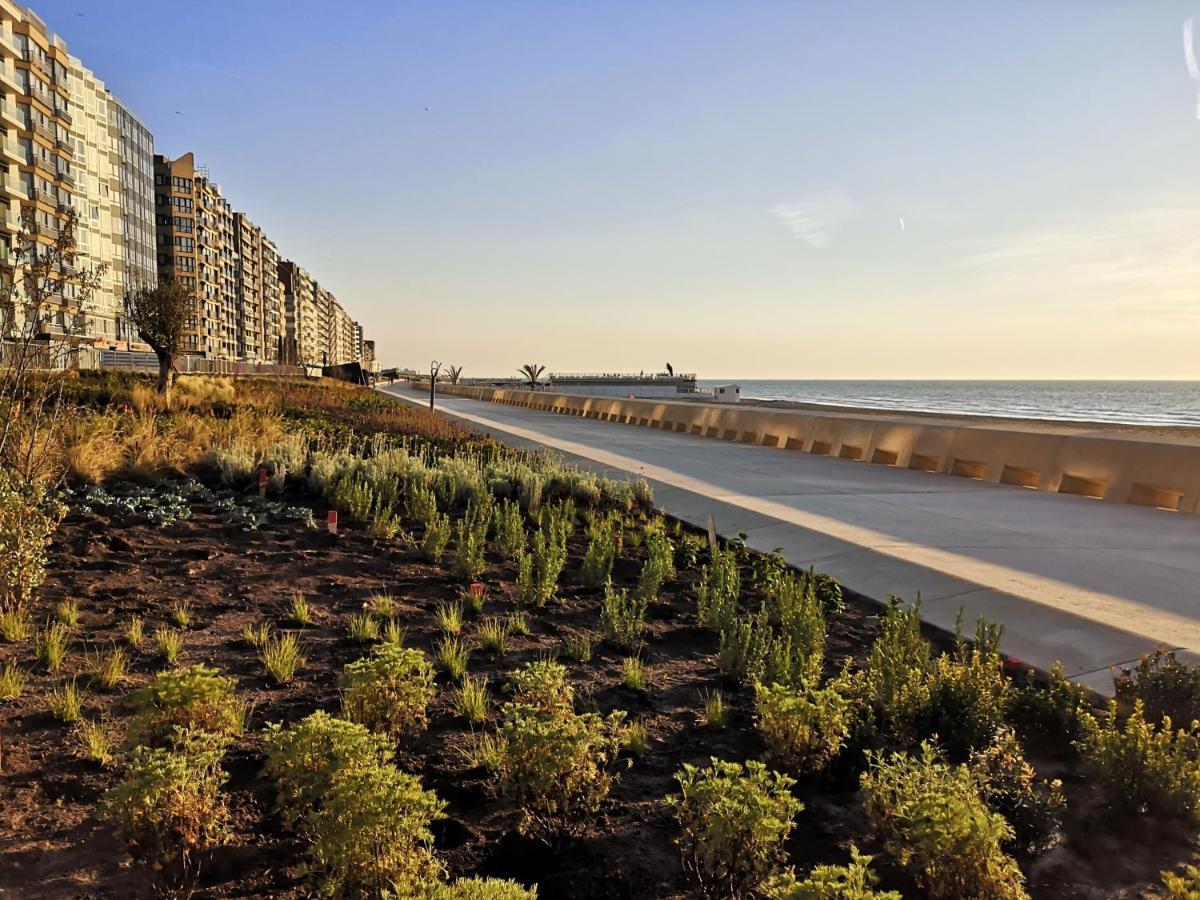 Westeinders Sea View ミデルケルケ エクステリア 写真